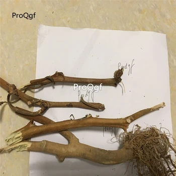 

Ngryise 100Gram A Set dry Ashwagandha