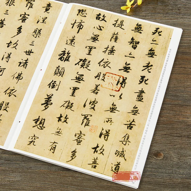 Executando script copybook zhao mengfu escova caneta