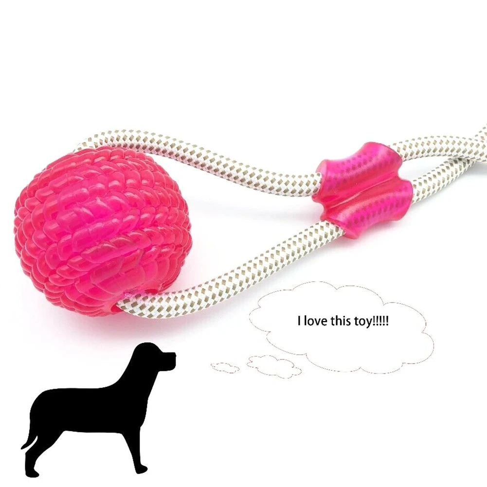 Играющая игрушка для собак Нетоксичная кошка Жевательная укуса Pet мяч чистка зубов Забавный портативный многофункциональный на присоске интерактивный легкий