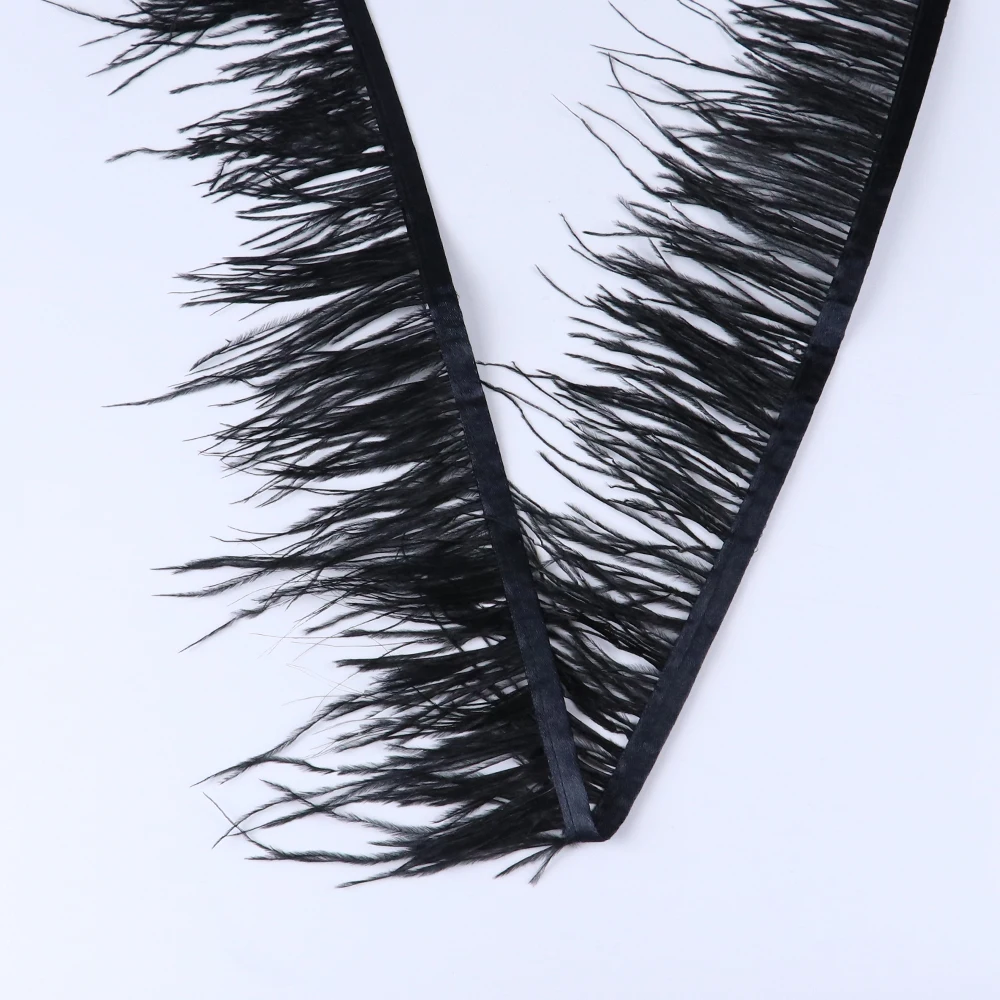 Free Shipping 10-15cm Black Ostrich Feather Trim - China Feather Fringe and  Feather Trimming price