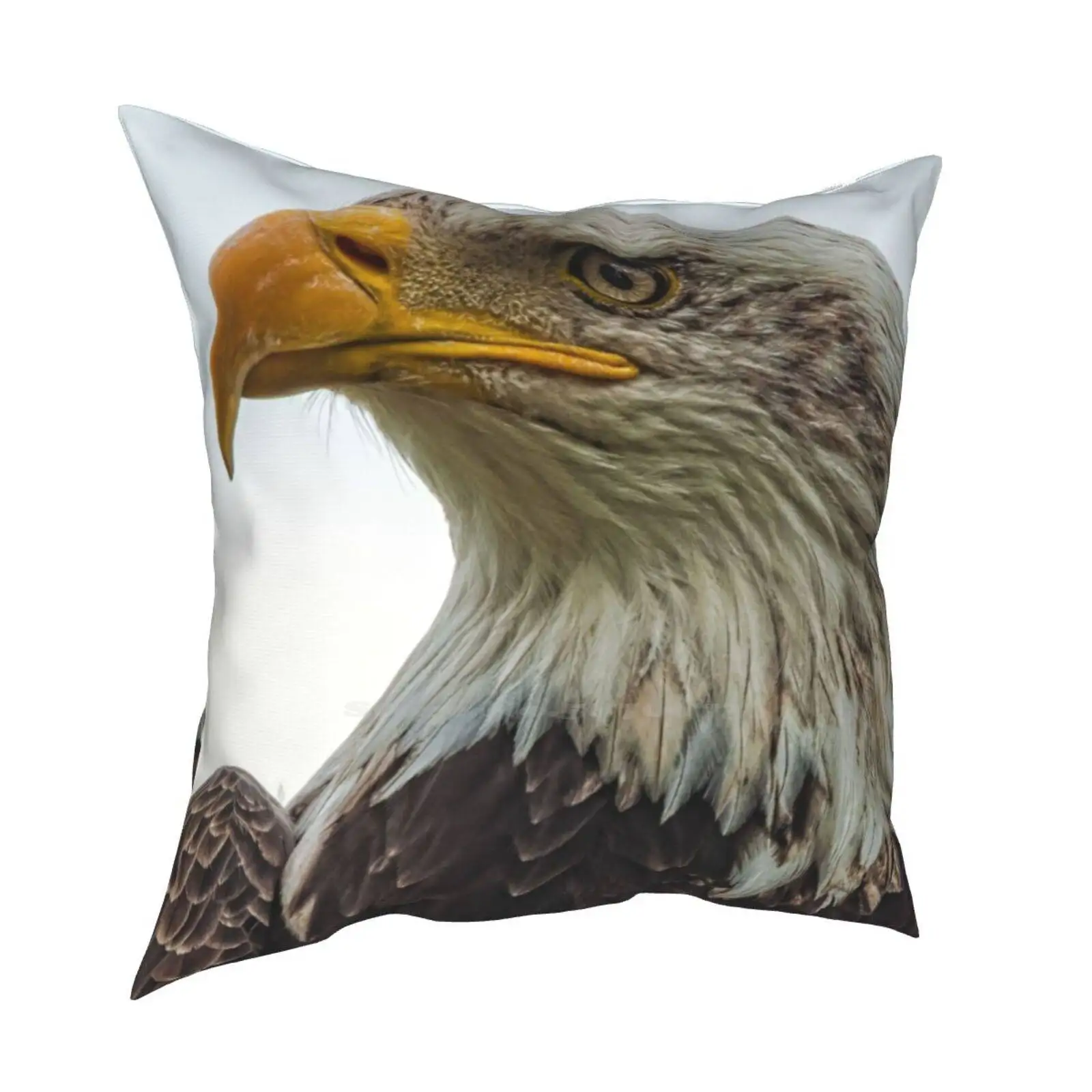 American Bald Eagle Portrait Home Sofa Car Waist Throw Federa American Bald Eagle Raptor Bird Of Prey Eagle Nature Bird