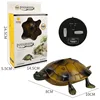 Simulation Swing Walk Remote Control Turtle Anti-wear Tires Eye Lights Early Learning Cognition Realistic Form Electric RC Toys 5