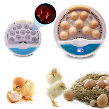 

9 Eggs Chicken Bird Eggs Incubator Automatic Intelligent Quail Parrot Brooder for Household Animal Chicken Accessories US plug