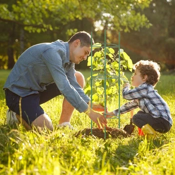 

Practical Assembled Garden Plant Support Stakes Multi-functional Durable Cage with 3pcs Clips for Vertical Climbing Plants