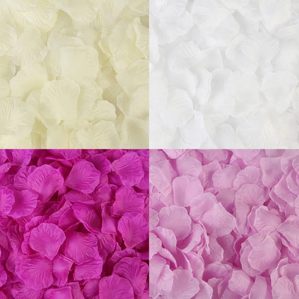 298244_no-logo_298244-1-05