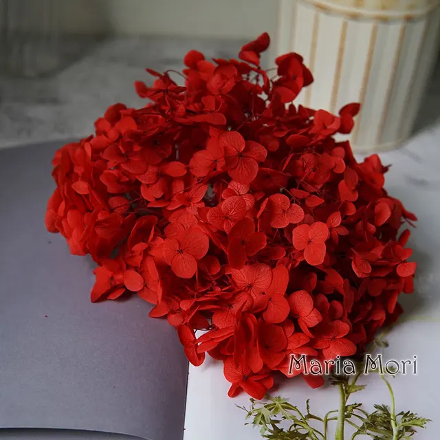 Anna Hydrangea  Flowers  Little  Leaves Preserved Hydrangea Decor  Office Decor  DIY Flowers Color 22
