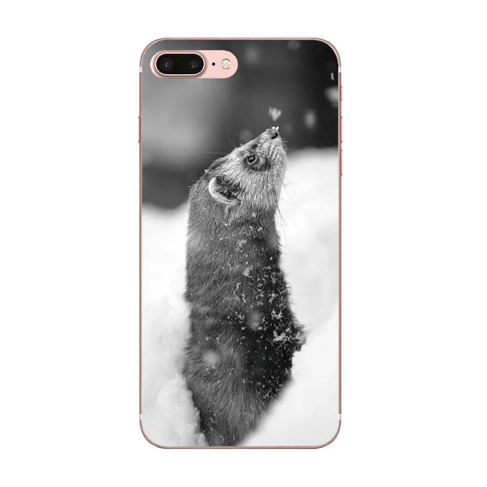 Для Apple iPhone 11 Pro X XS Max XR 4 4S 5 5C 5S SE 6 6S 7 8 Plus Мягкий чехол для мобильного телефона Ferret