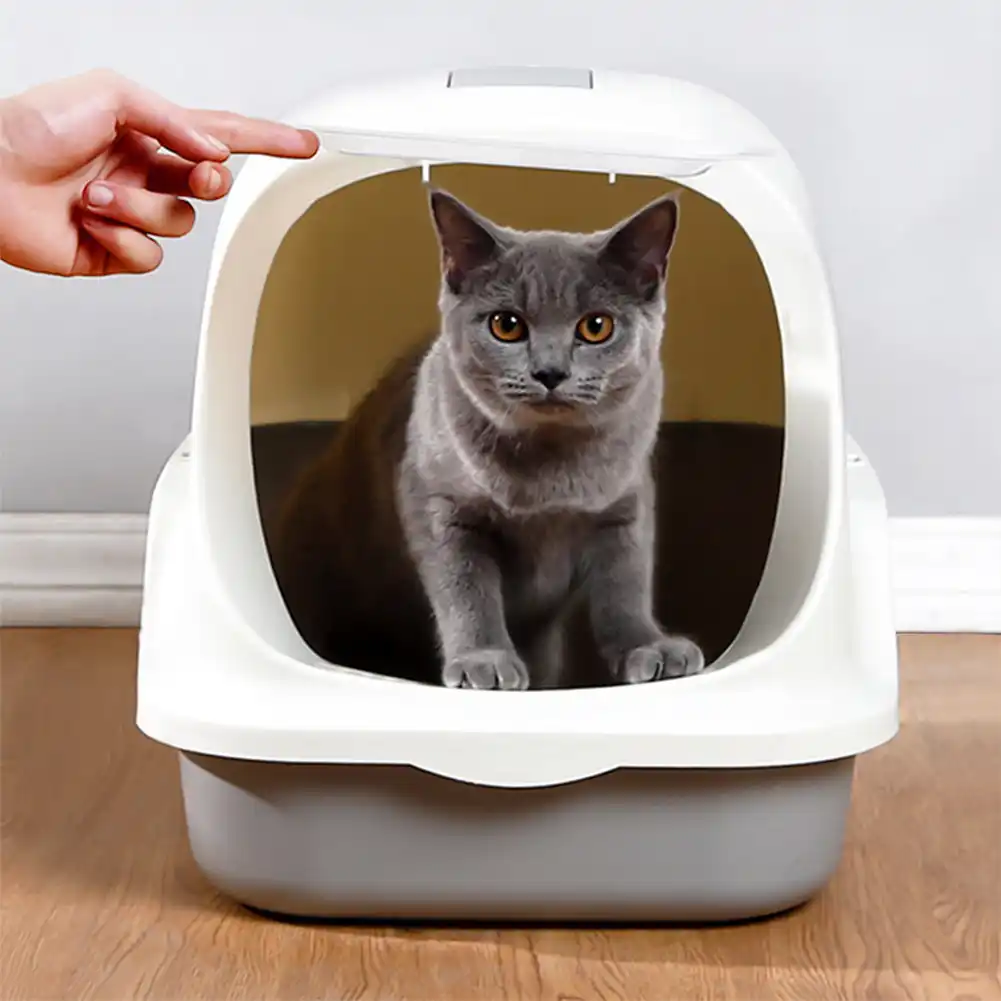 cover cat litter box