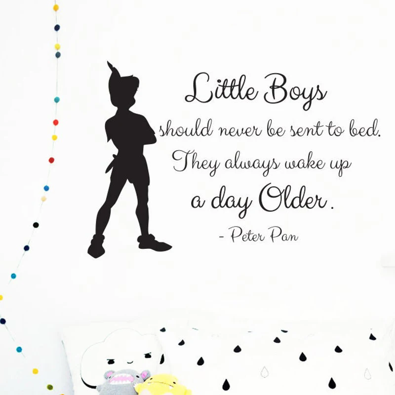 Peter Pan Wall Decal, Neverland Art Vinyl Sticker Kids Boy Room