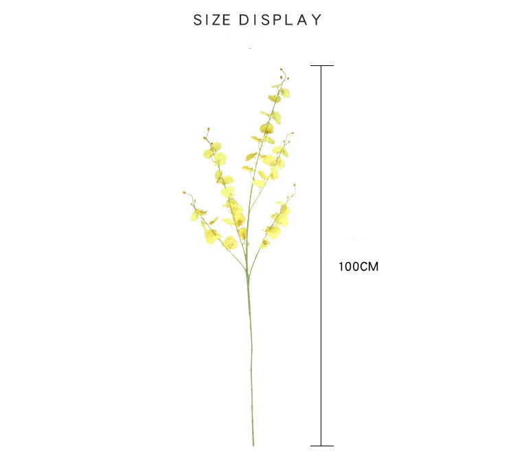 8694053162_516171610