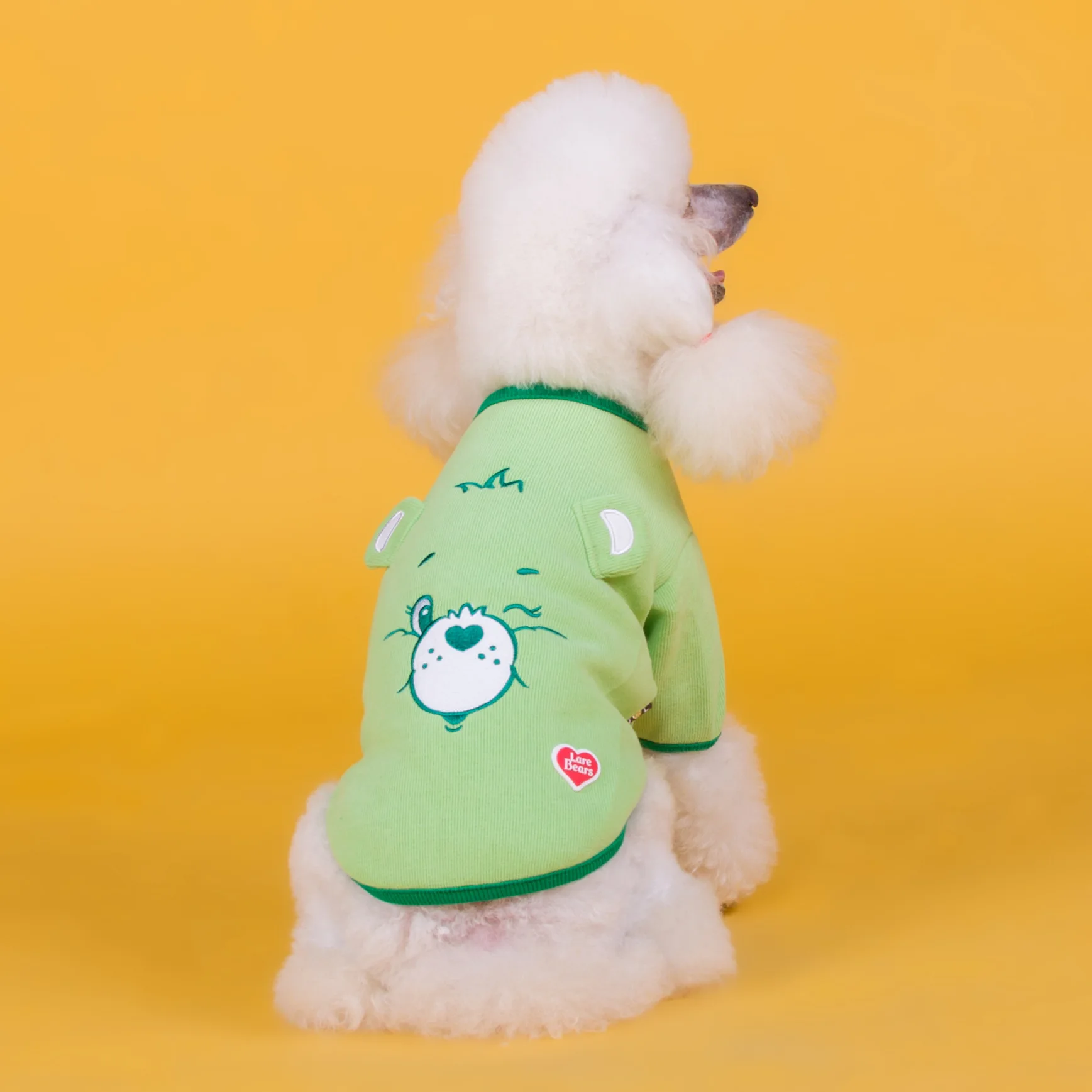 Pet clothing autumn and winter new cotton elastic thick cat clothes