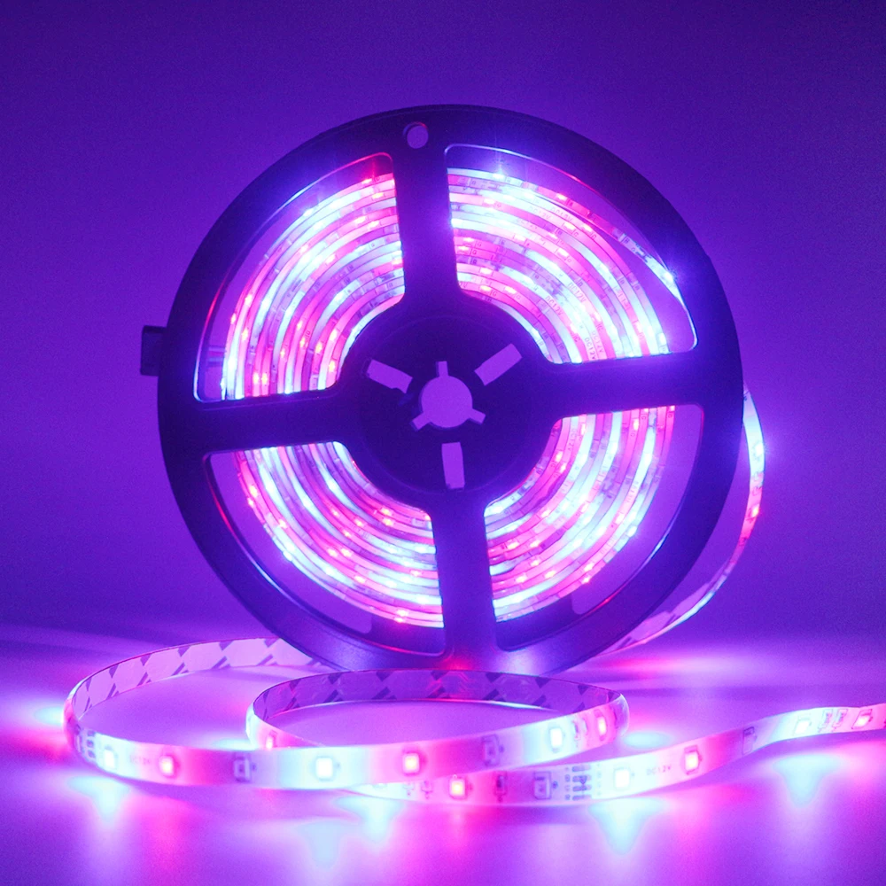 5 м 12V /24V 3528 300SMD гибкий Светодиодные ленты светильник RGB Strobe Flash Одноцветный белый
