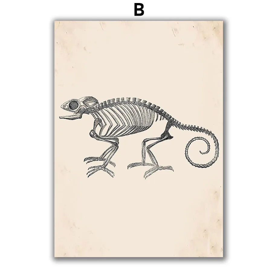 Vintage-Horse-Skeleton-Animal-Anatomy-Wall-Art-Canvas-Painting-Nordic-Posters-And-Prints-Wall-Pictures-For (5)