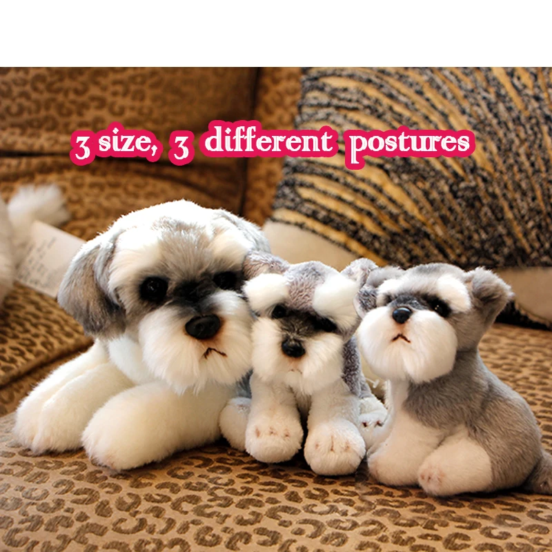 _MG_0326-3 size 800