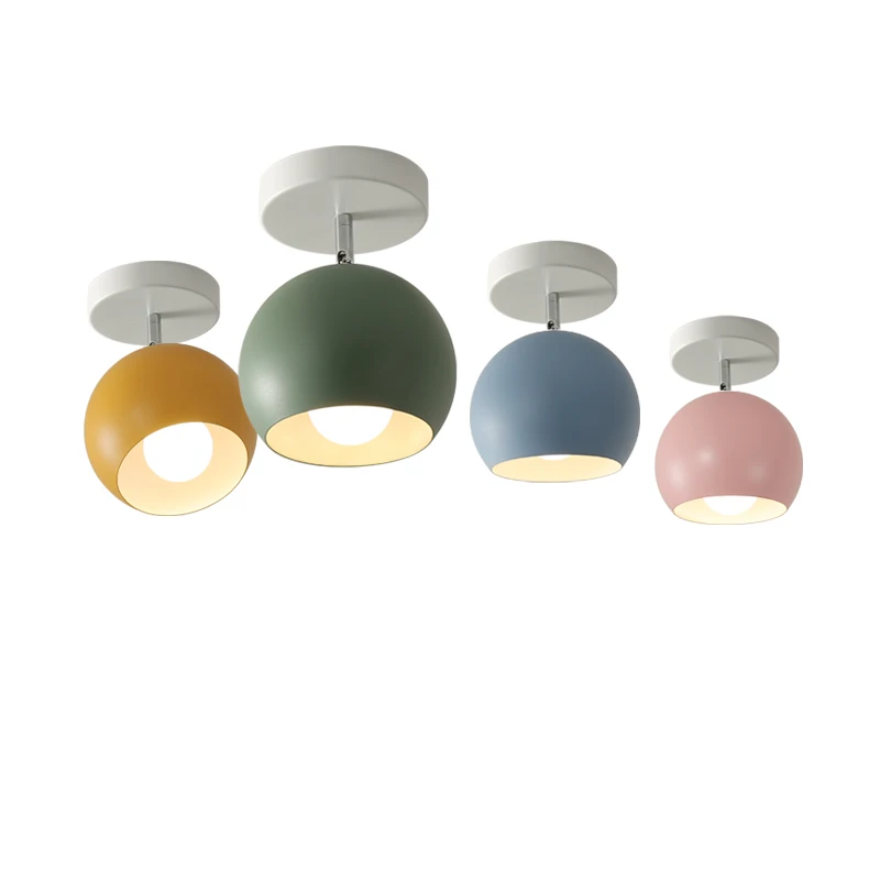 Luz de cúpula de dragón de Marca, lámpara LED de pasillo, funciona como una personalidad creativa de color moderno, muebles de hierro forjado