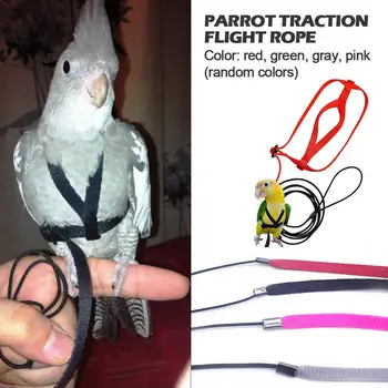 

Parrot Harness Leash Flying Anti-bite Traction Rope Bird Training Outdoor Carrying For Psittacus Erithacus Scarlet Macaw Parrots
