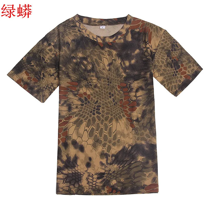 2342992872_1101723300