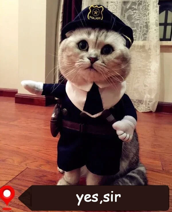 Hc91eb0548b4e4d16b09ebffda19a0074o