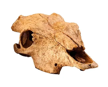 

EXO TERRA Shelter decoration for terrariums Exo Terra bison skull