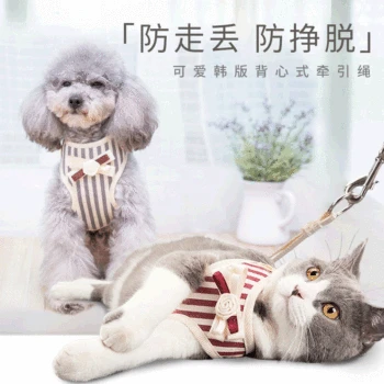 

Pet Traction Rope Chest Strap Ventilation Type Teddy Dog Rope Garfield Small And Medium Sized Dogs Cats And Dogs