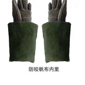 

Animal Handling Gloves Bite Proof Reinforced Leather Padding Dog