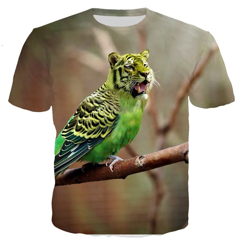 HTB1Ah9jaizxK1Rjy1zkq6yHrVXak