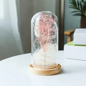 

New Romantic Gypsophila Simulation Glass Cover Led Micro Landscape Home Night Light Decoration Wedding Year Gifts