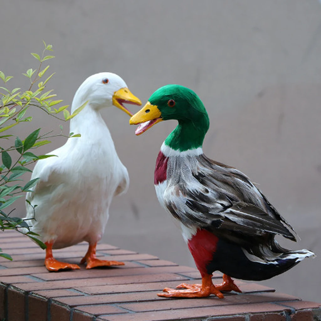 Various Realistic Duck Ornament Figure Outdoor Home Garden Water Pond Decoration DIY Vivid Artificial Feather Craft