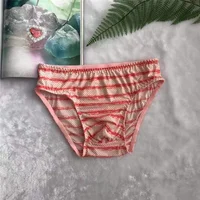 Sexy Mens Sissy Pouch Penis Panties Gay Underwear See Through Lingerie Striped Briefs Shorts Male Panties 2021 1
