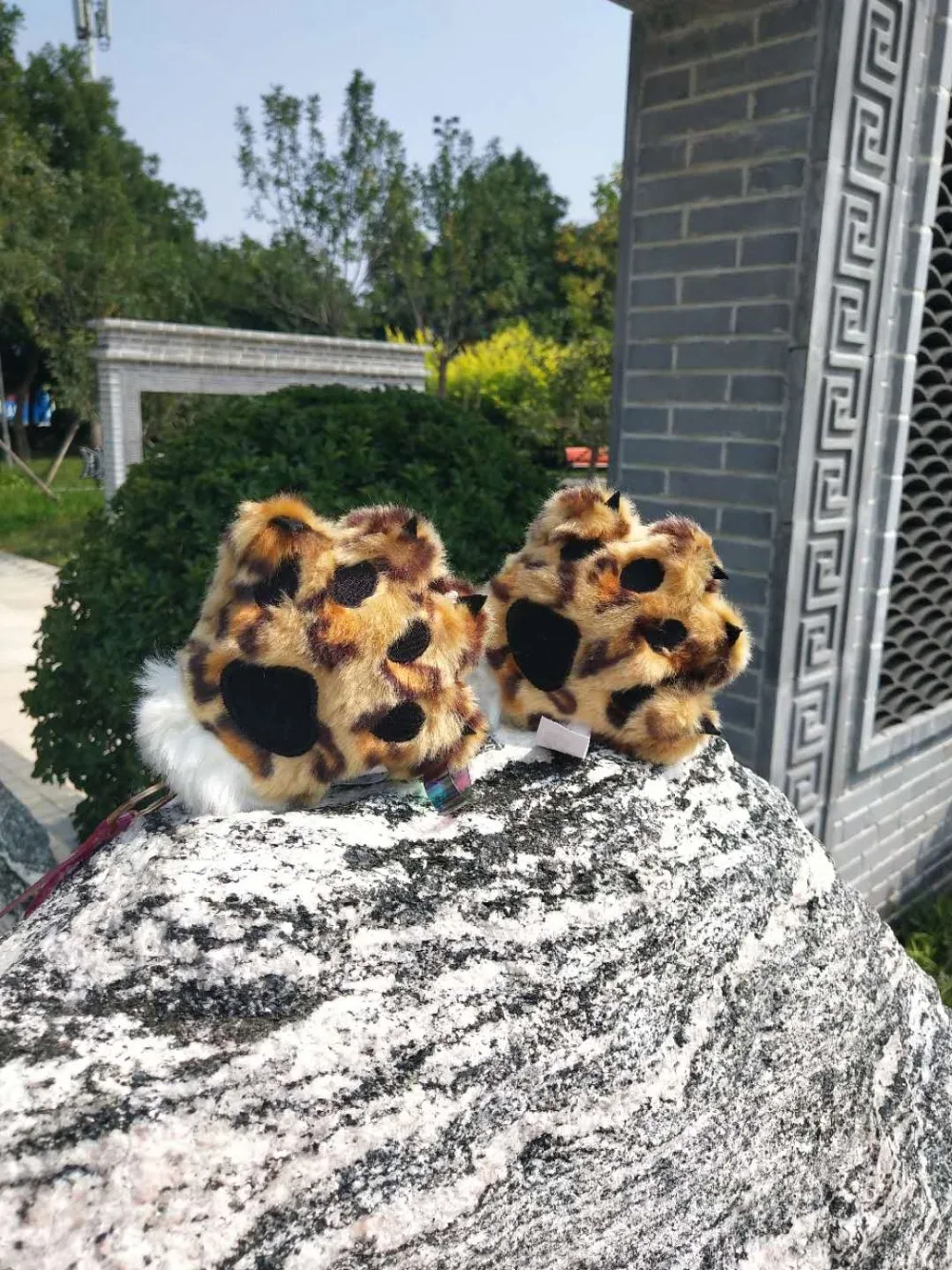 IMG_8558(20200828-151758)