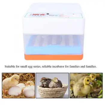 

24 Incubator Egg Incubator Digital Display Transparent Temperature Controller Duck Pigeon Goose Farm Incubator
