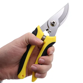 

Stainless Steel Fruit Tree Pruning Shears Taiwan guo shu jian Garden Tools