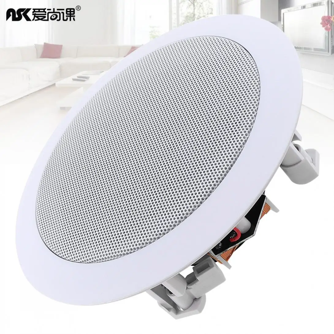 5 Inch 20W Coaxial Fixed Resistance Radio High