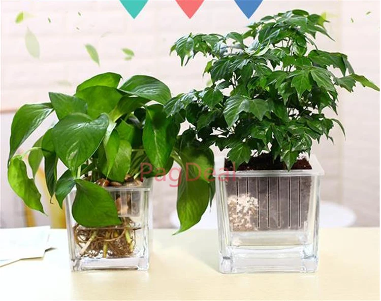 square hydroponic pot04