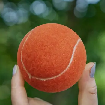 

4 Pcs Orange Pet Tennis Balls for Dogs Exercise Biting Playing and Training Safe R7RC