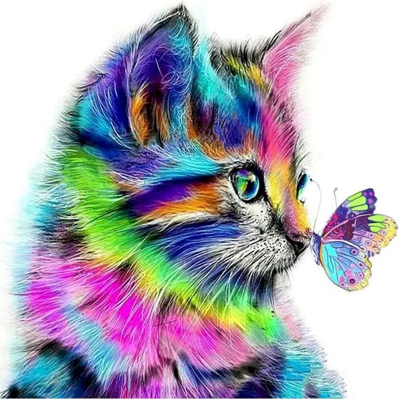 Dipingi Con I Numeri: Gatto Nero Su Tela 30x40 Cm - Kit Fai Da Te Per Adulti
