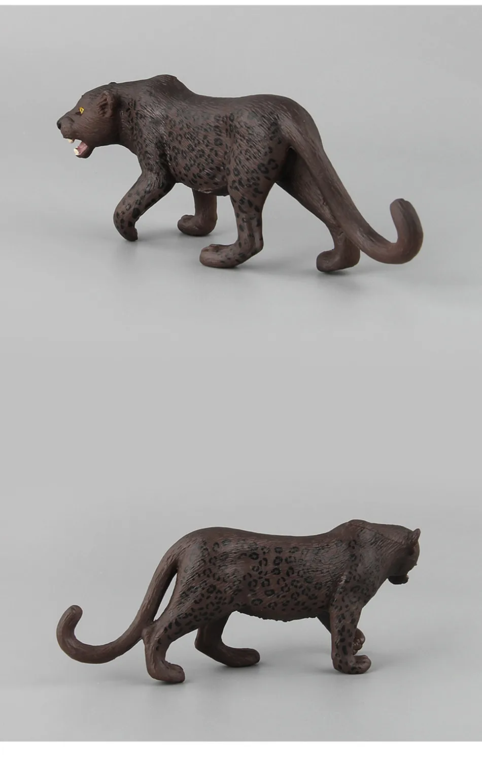 9079268724_202388549_副本