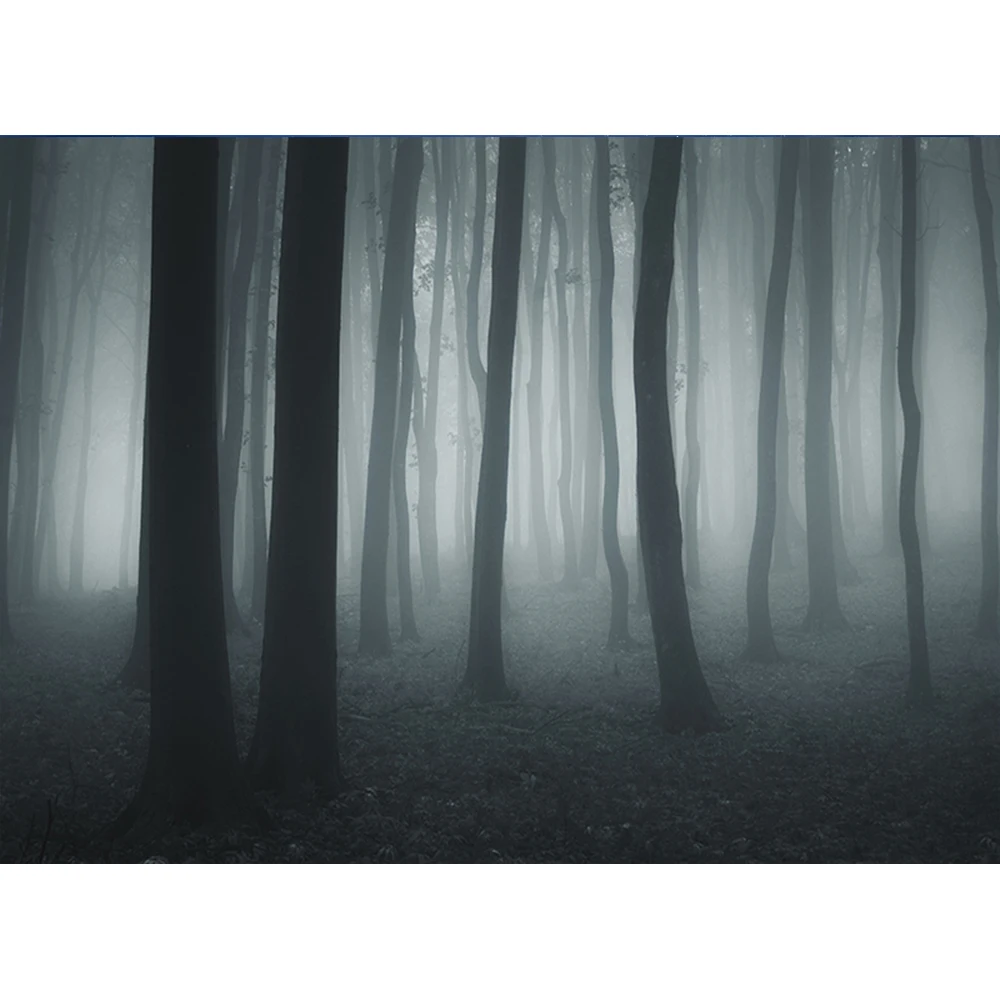 

Dark Misty Wood Creepy Forest Halloween Backdrop Magic Witch Wizard Ghost Party Photography Background Decor Photo Props