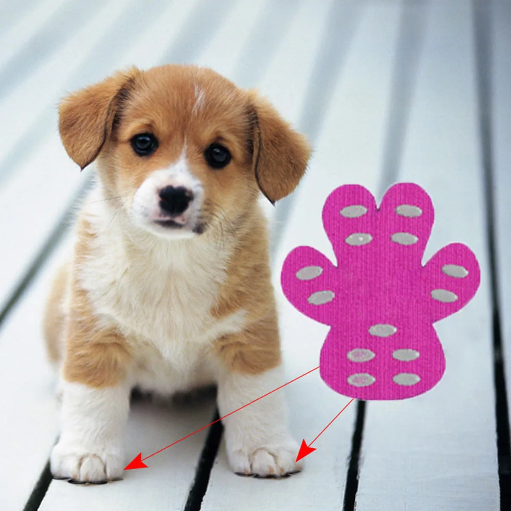 anti slip dog paws