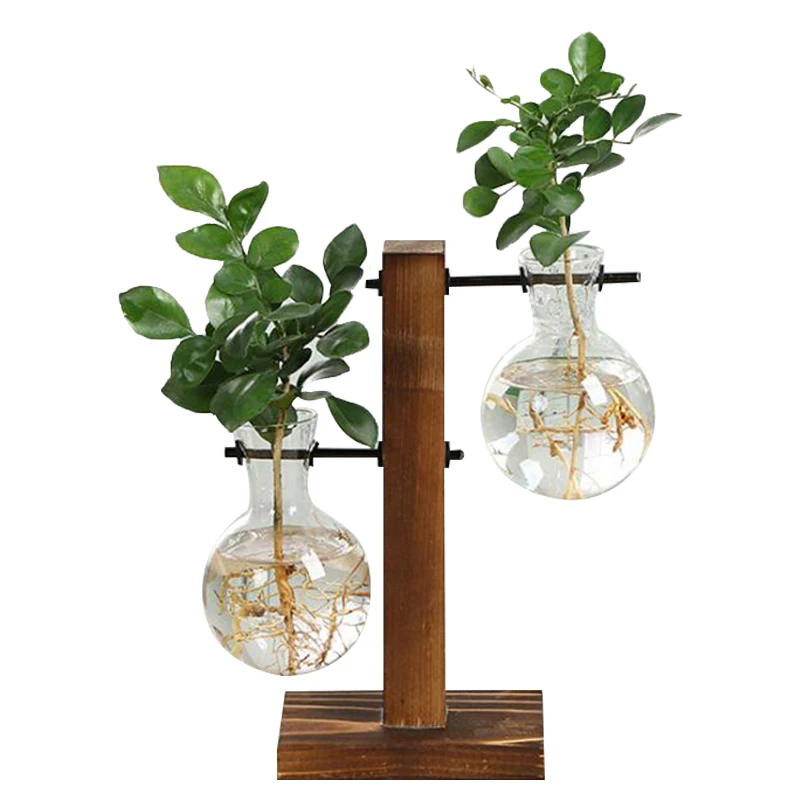 Hydroponic Plant Vases Flower Pot Transparent Vase Wooden Frame Tabletop Planter 