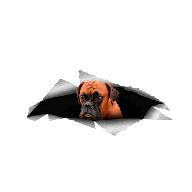 

Funny Boxer Dog Pet 3D Graphic Animal Car Sticker Car Accessories Vinyl Decal Cover Scratches Waterproof PVC 15cm X 6cm