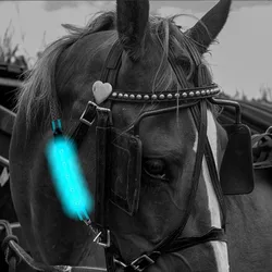 2021 Running Equestrian Neck Riding Battery Powered Horse Harness Straps Multi-function Equipment Led Halter Belt Night Luminous
