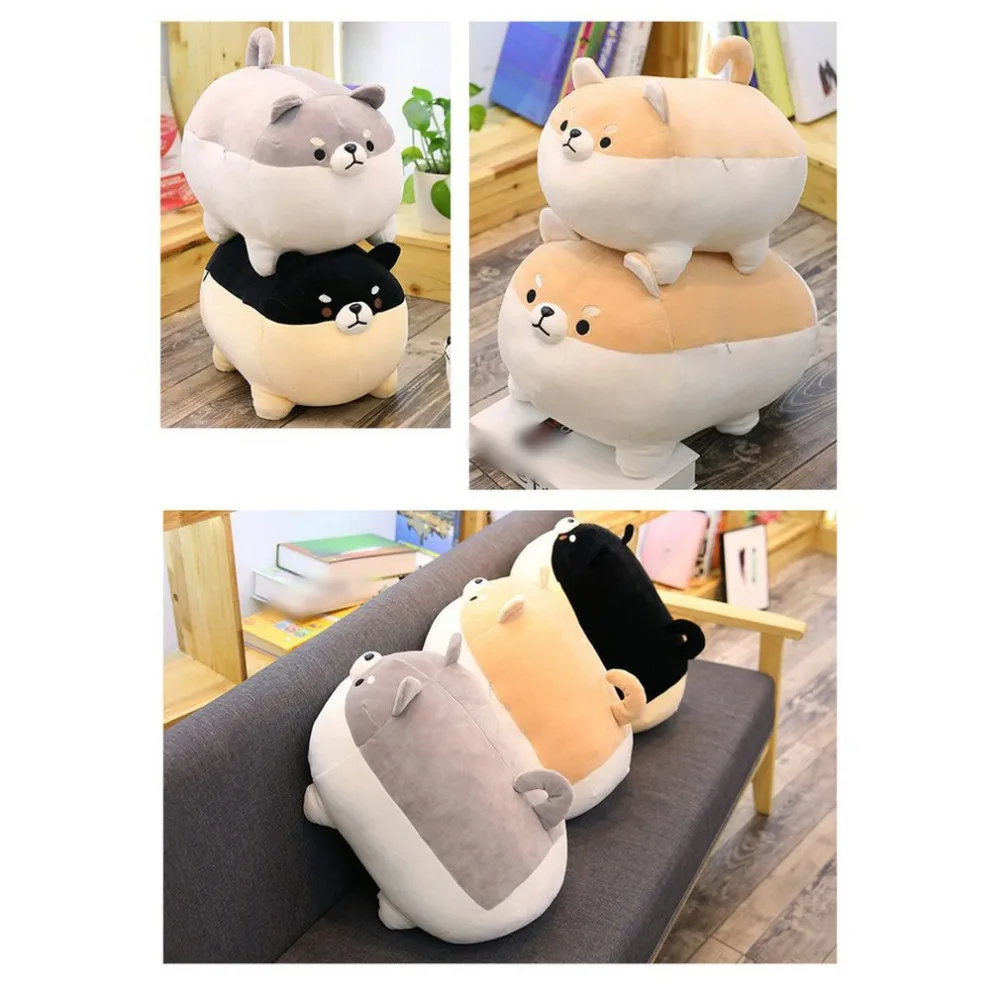 PF184601-C-20062805-1