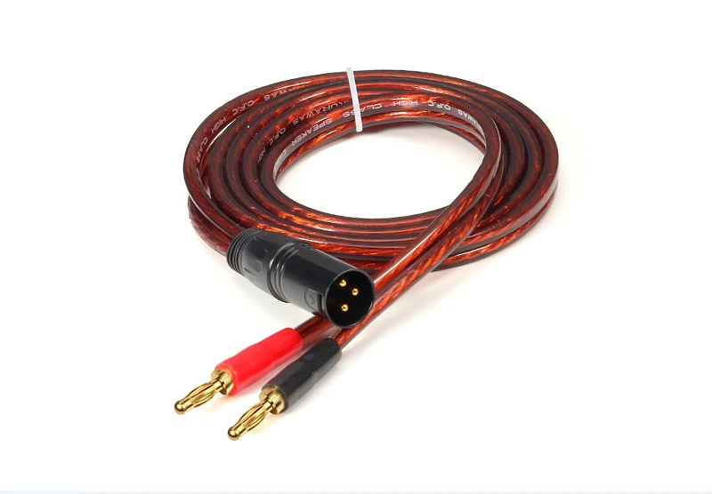 Une paire 10 mètres Câble XLR à double banane pour enceinte Active Premium, 3 broches, câble