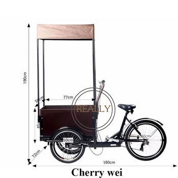 Mini Size Three Wheel Mini Street Cargo Bike For Sale Smallest Pedal Cakes Cargo Bikes Tricycle Leather Bag