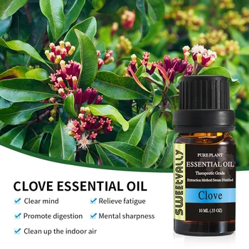 

10ml Clove Essential Oil Aromatherapy Fragrance Oil Therapeutic Grade Pure Plant for Humidifier Relieve Stress Essential Oils