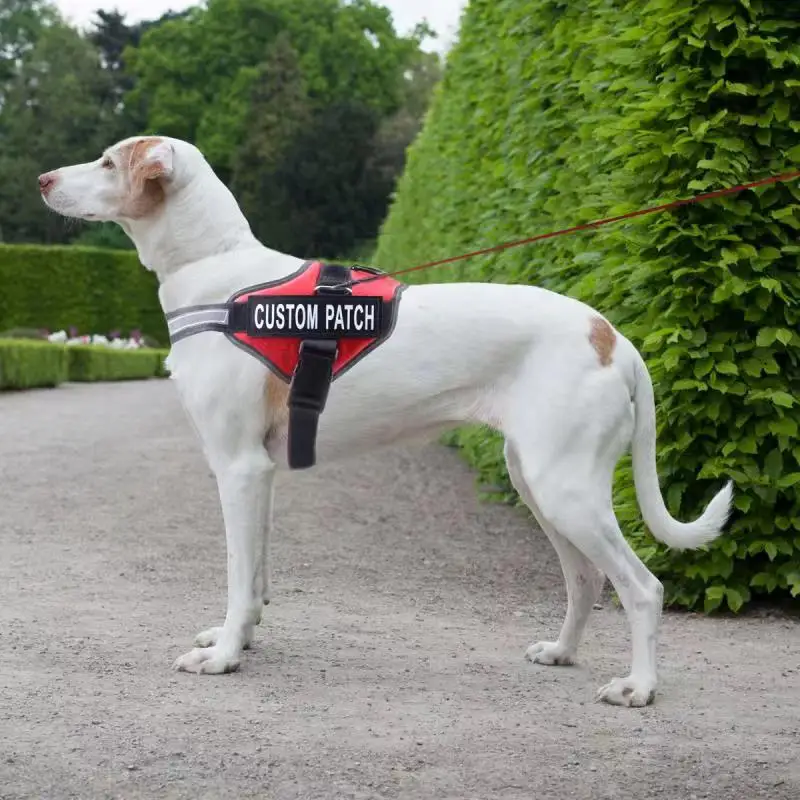 New Personalized Dog Harness Reflective Breathable Adjustable Pet Harness Vest ID custom Velcro Outdoor Walking Dog Supplies