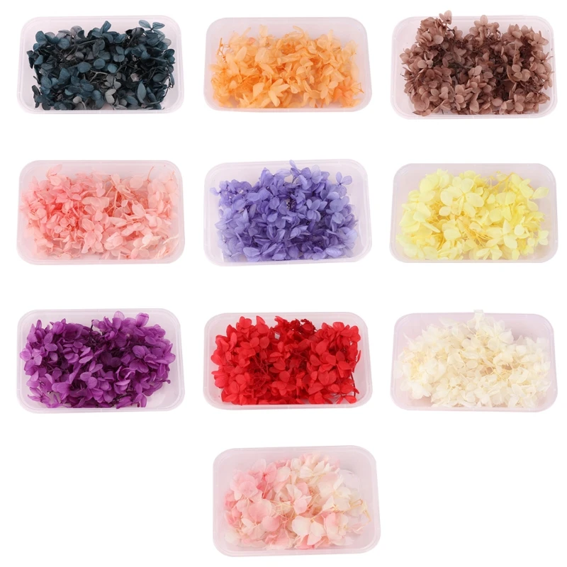 

1 Box Dried Flowers UV Resin Decorative Natural Flower Stickers 3D Dry Beauty Decal Epoxy Mold DIY Filling Making Craft