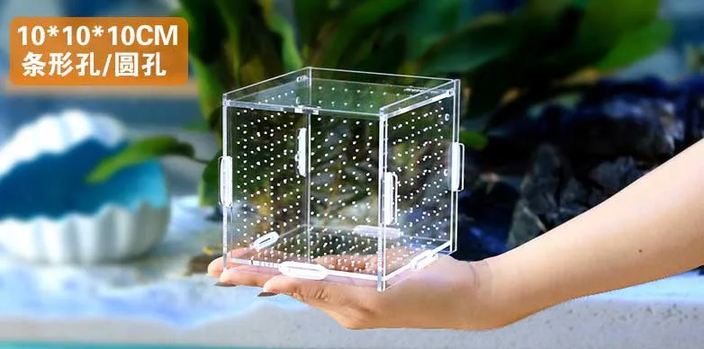 HTB1YX62RpXXXXaQaXXXq6xXFXXXW