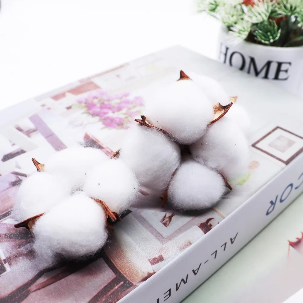 5Pcs-Artificial-Flower-Kapok-Cotton-Head-for-Wedding-Christmas-Home-Decoration-DIY-Craft-Wreath-Scrapbook-Natural(3)
